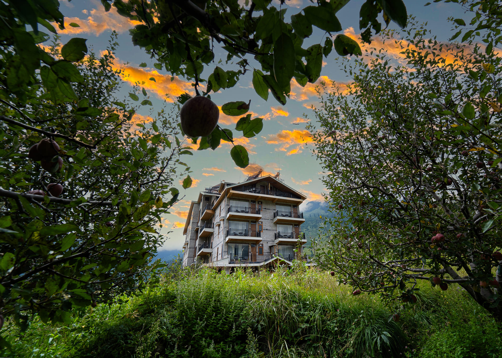 Nazaara Luxe Retreat, Manali, exterior facade at sunset amid the orchard