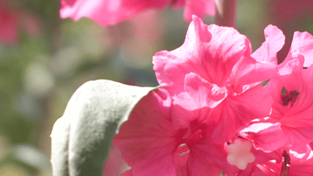 Special offers images website (1)