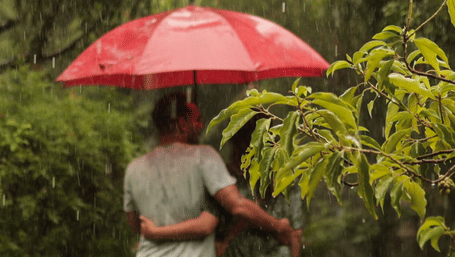 Guests walking through a lush green garden area while holding a red umbrella during a rainy day.
