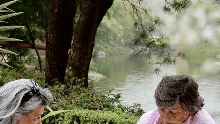 The Countryside Weekend