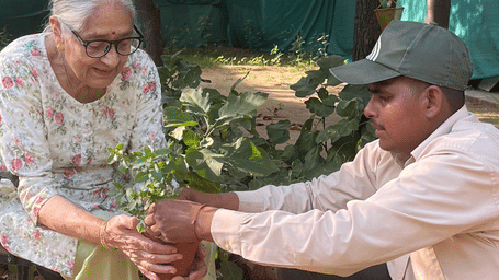 Elderly woman gardening in a serene outdoor space at Karma Chalets, enjoying a peaceful nature experience.