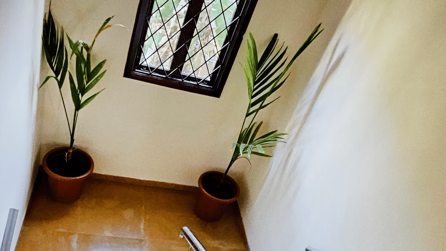 A panoramic shot of the staircase taken from the upper level featuring a beautiful window in the middle along with 2 plants at Amara VIlla, Nagoa.