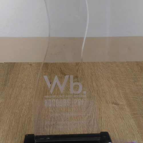 Efcee Sarovar Premiere hotels in bhavnagar awards