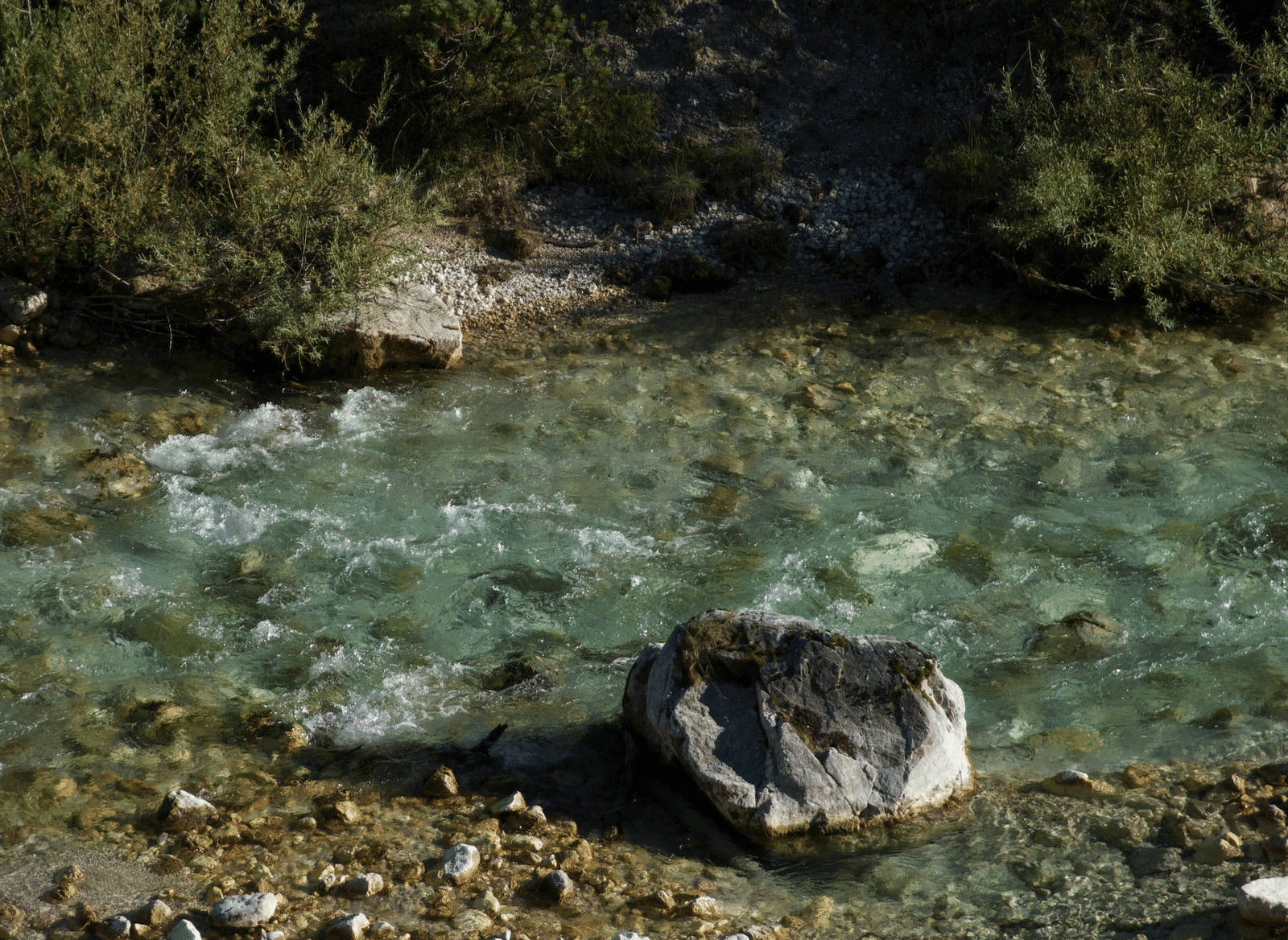 A rocky riverbank with a clear, shallow river flowing through a forested area.