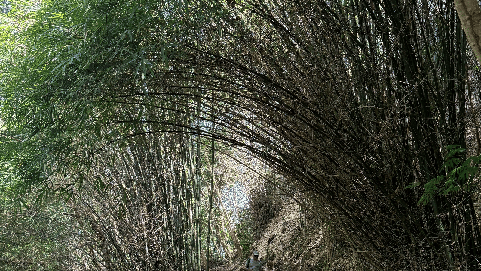 pexels-eric-cezanne-2158923962-36000082