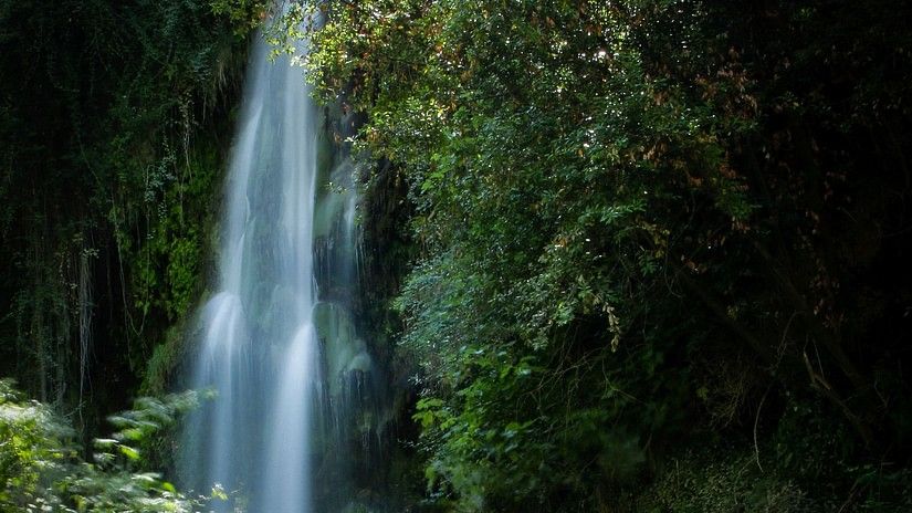 Beautiful cascade nestled in greenery
