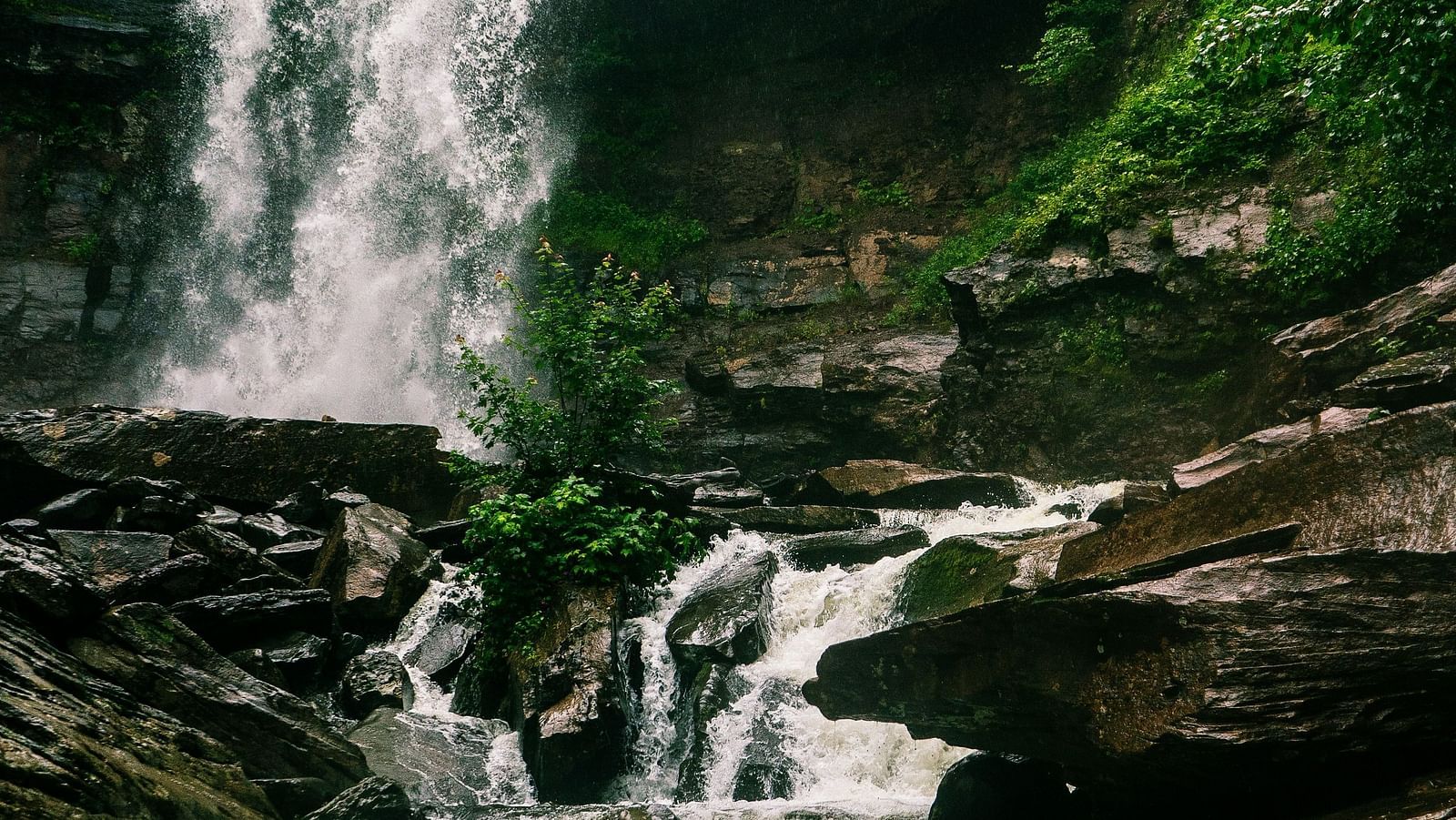 Scenic waterfall cascading over mossy rocks surrounded by lush greenery.