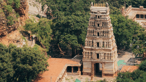 a far out view of Sri Padmavathi Ammavari Temple with greenery in the foreground