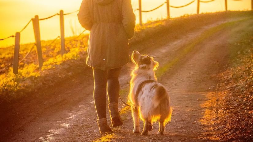 a woman walking her dog during sunset