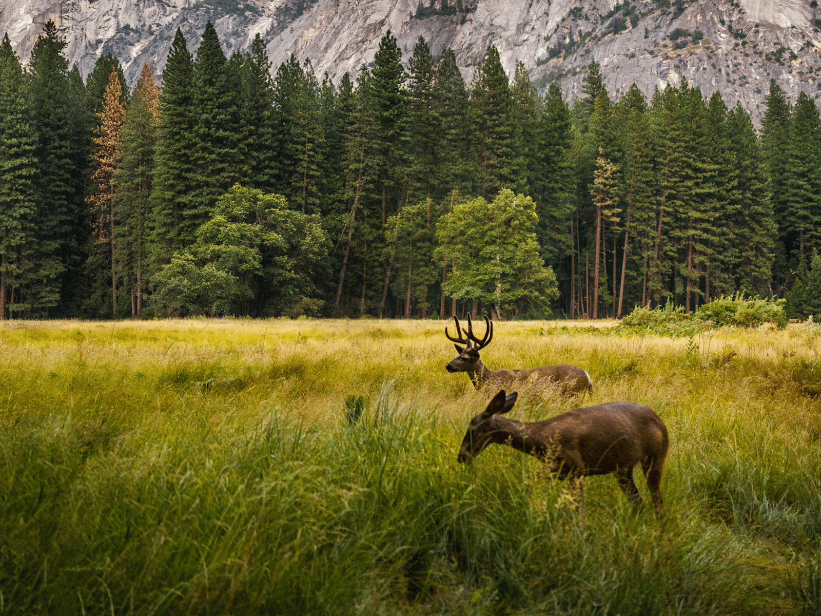 johannes-andersson-UCd78vfC8vU-unsplash