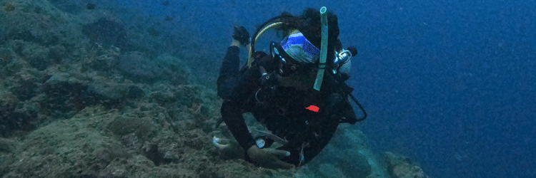 Two scuba divers exploring a sloping coral reef wall in the clear blue waters of Havelock, Andaman, surrounded by marine life and rising bubbles.