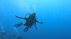Two scuba divers exploring a sloping coral reef wall in the clear blue waters of Havelock, Andaman, surrounded by marine life and rising bubbles.