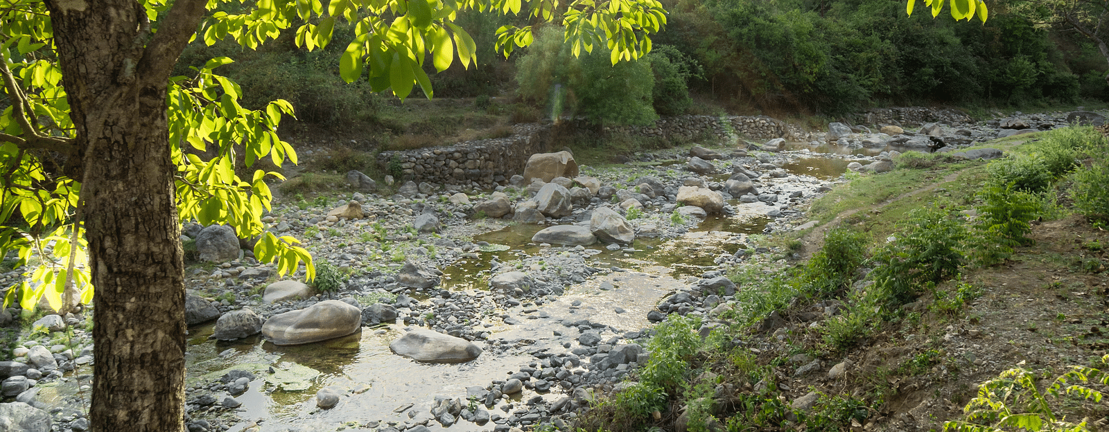 A lush of stream passing amongst greenery at the Sylvan Retreat, Dehradun.