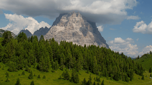 image of a mountain touching the clouds with a lush green forest and grasslands in the foreground