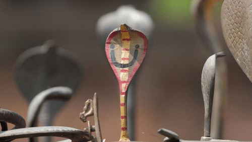Small metallic hooded snakes placed on a concrete slab.