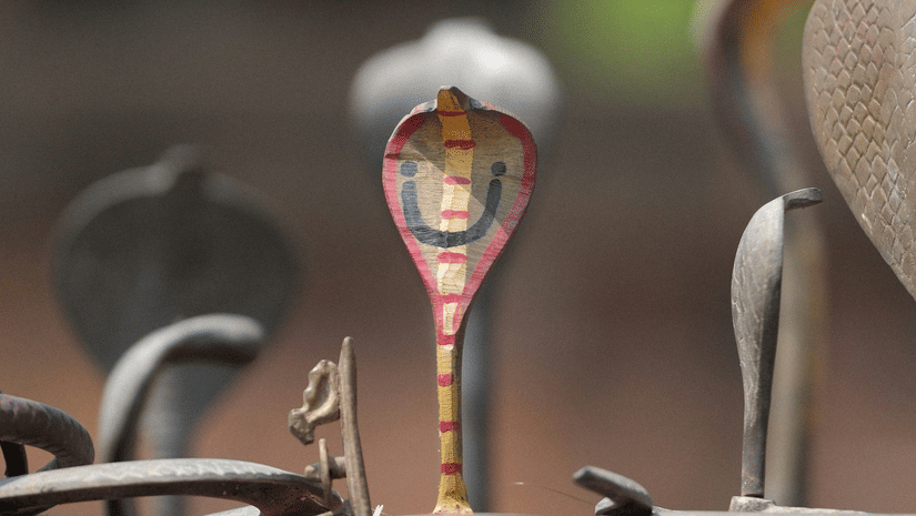 Small metallic hooded snakes placed on a concrete slab.