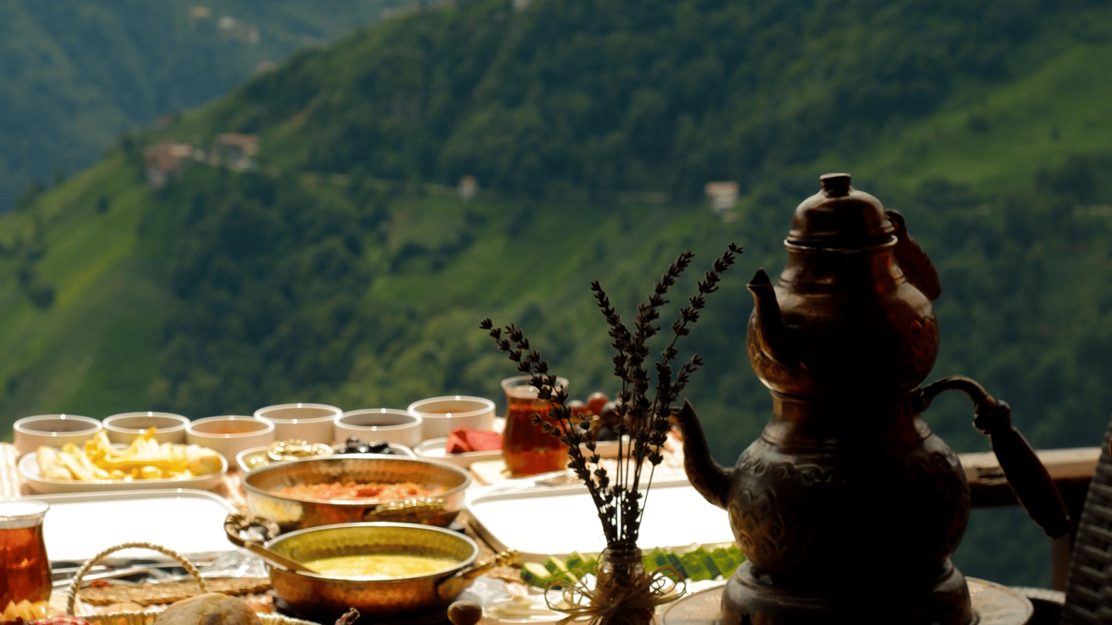 pexels-beyzaa-yurtkuran-279977530-18617041