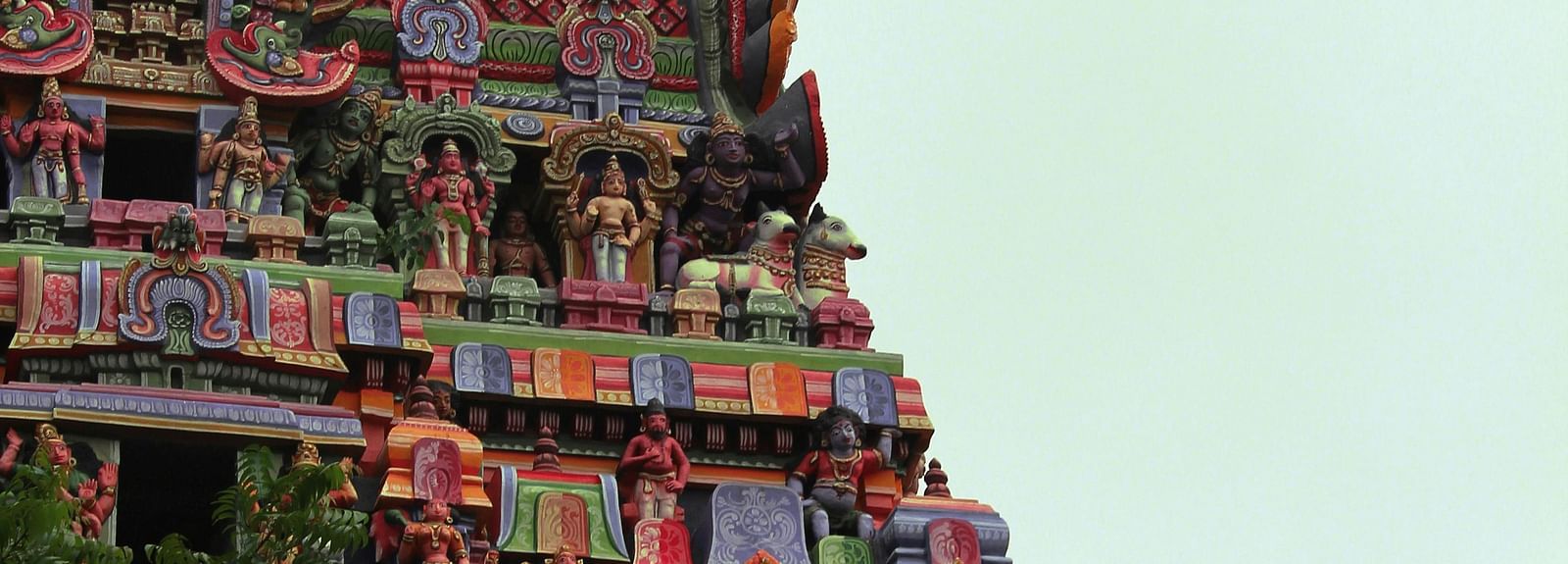 exterior top of a historic architectural figure with a tree in the corner 
