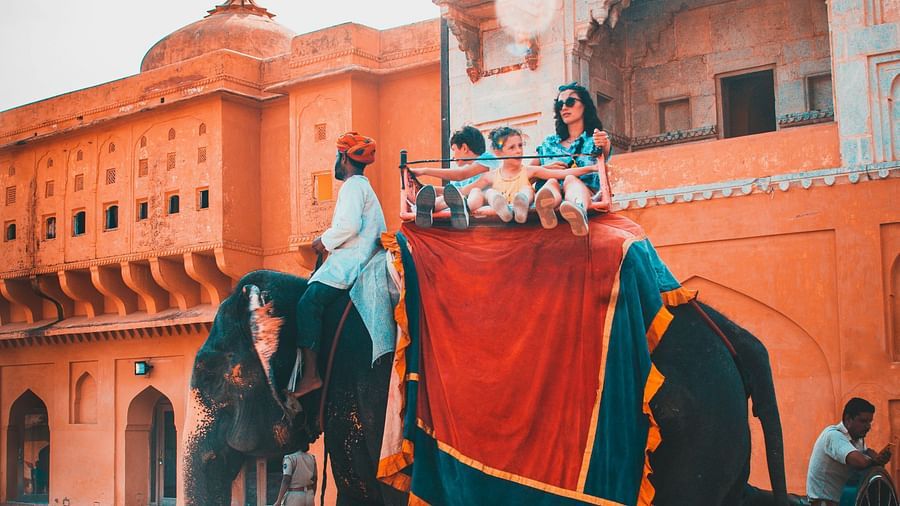 an image of tourists taking elephant ride