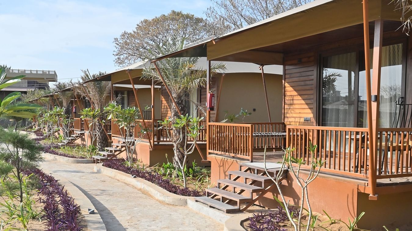 An outdoor view from Premium Tent featuring a pathway and stairs leading to each tents at The Baagh Ananta Elite, Ranthambore