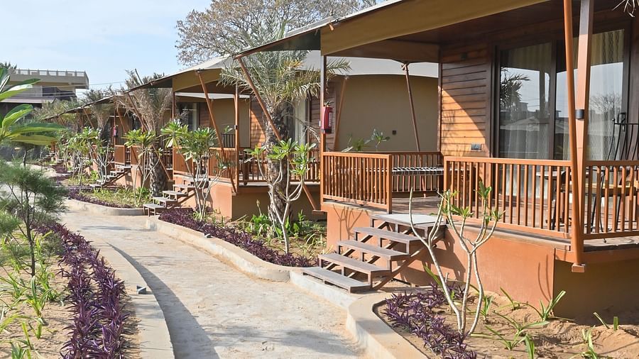 An outdoor view from Premium Tent featuring a pathway and stairs leading to each tents at The Baagh Ananta Elite, Ranthambore