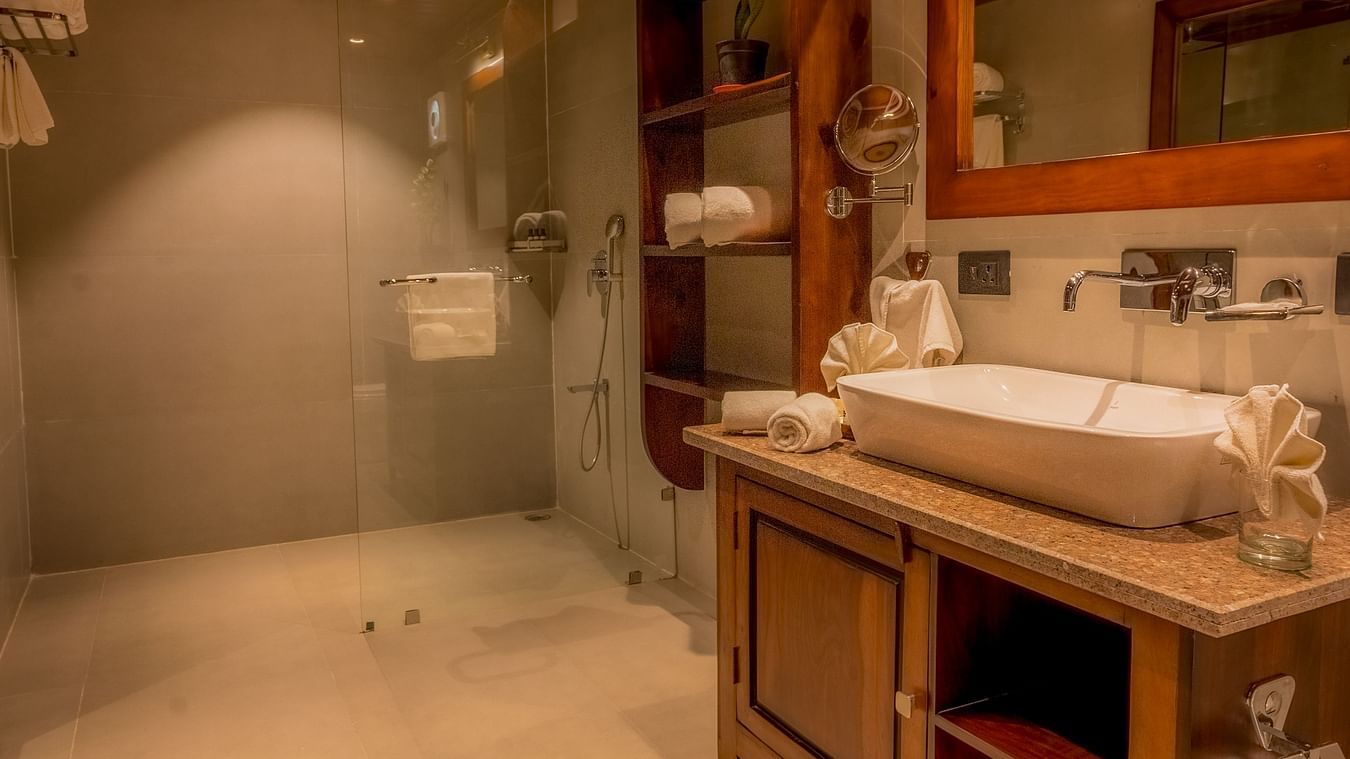 A Premium Duplex Tent washroom featuring sink and faucet, mirror on the wall, cabinet filled with toiletries, shower head, shower glass, towels hanging, and lot more at - The Baagh Ananta Elite, Ranthambore