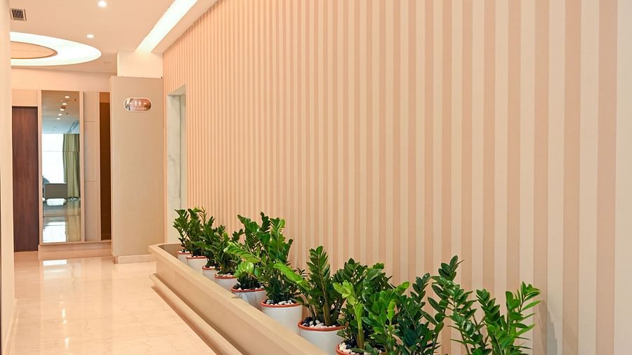 plant decorations at the lobby area