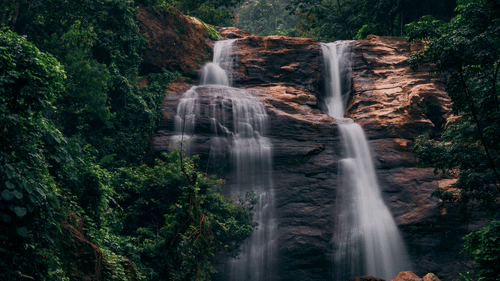 a waterfall amidst a dense forest