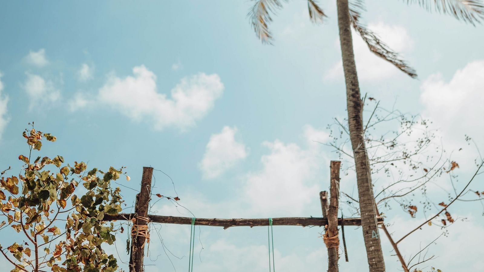 ismail-mohamed-sovile-u7qgO97JAEo-unsplash