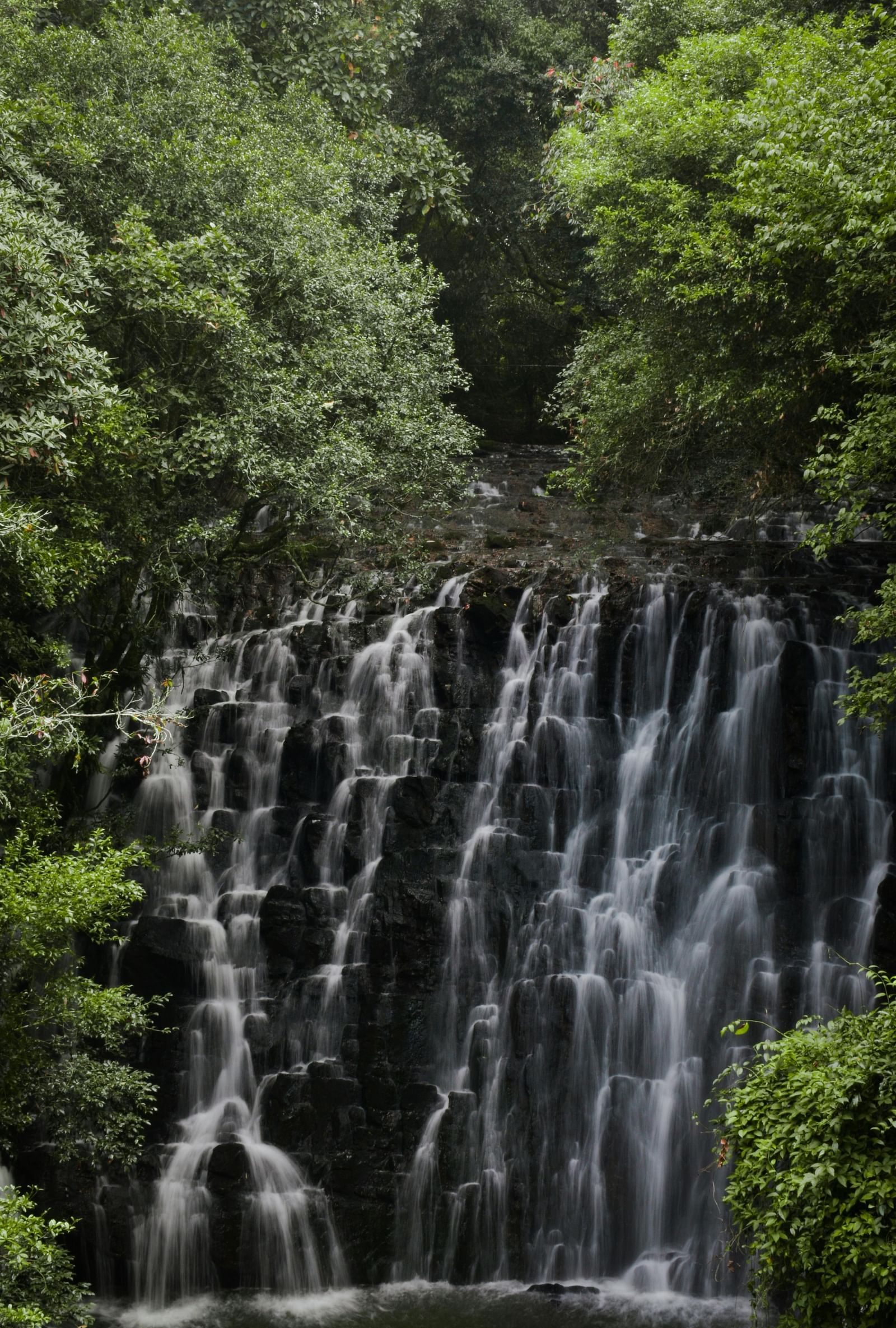 The multi-tiered Elephant Falls in Shillong surrounded by lush green forest.