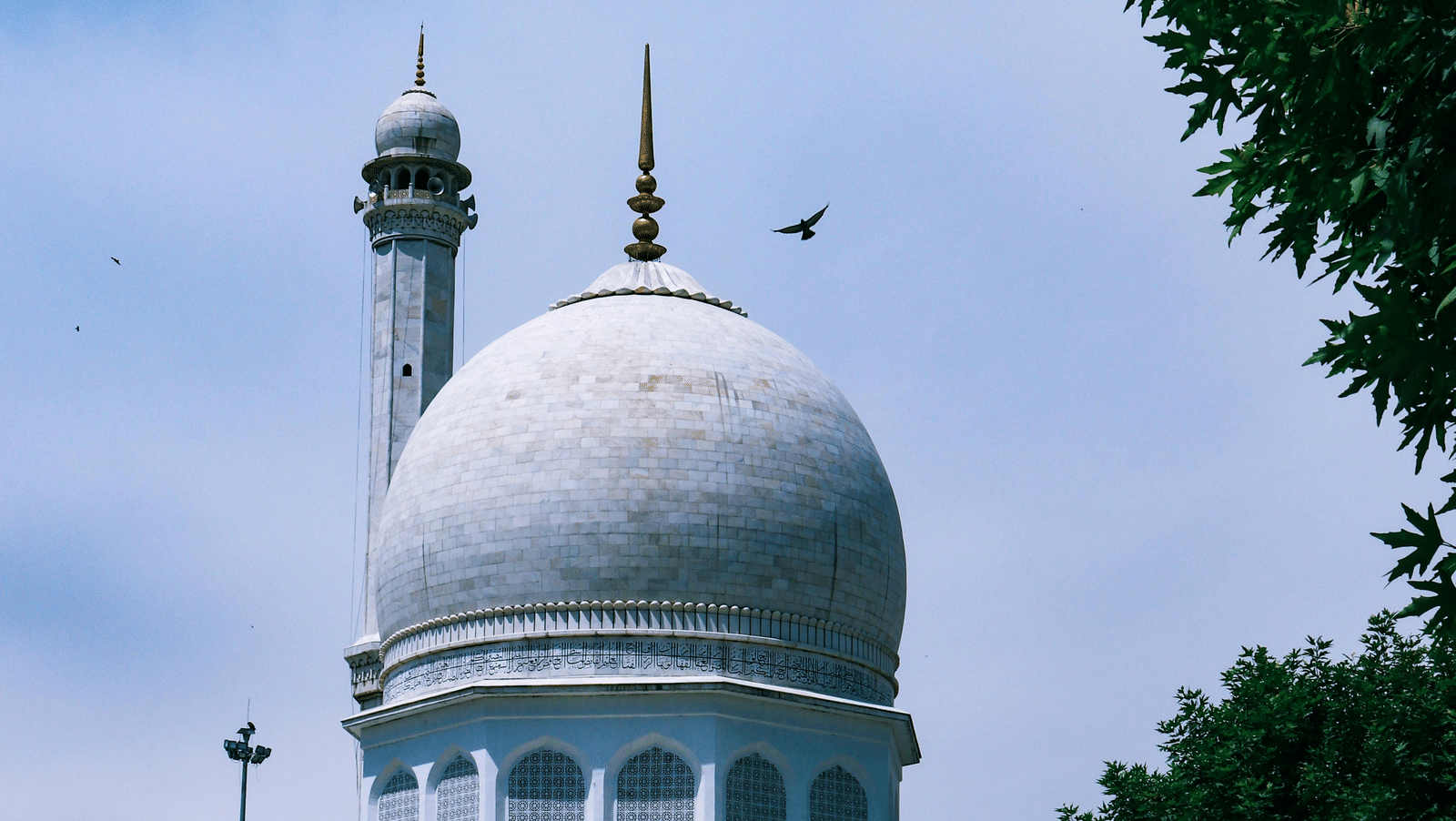 A view of the mosque's dome with a green foliage on the side.