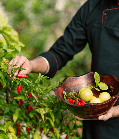 Kitchen Garden  (1)