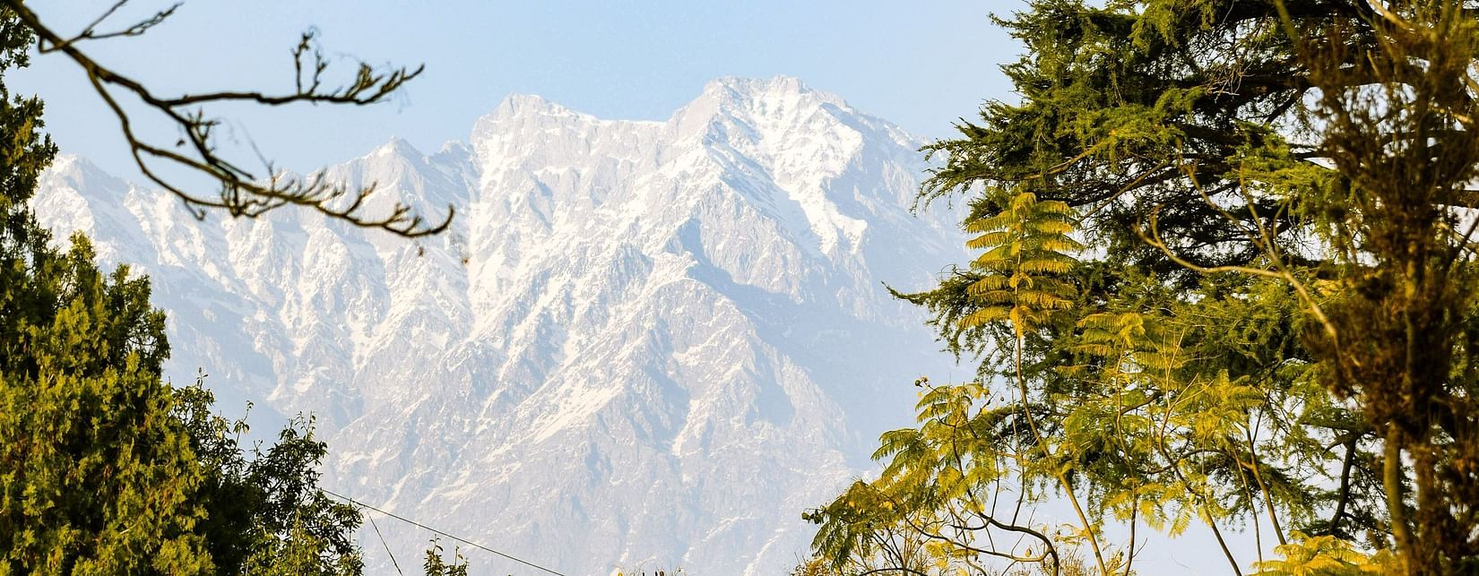 green trees white clouds @ Lamrin Norwood Green, Palampur