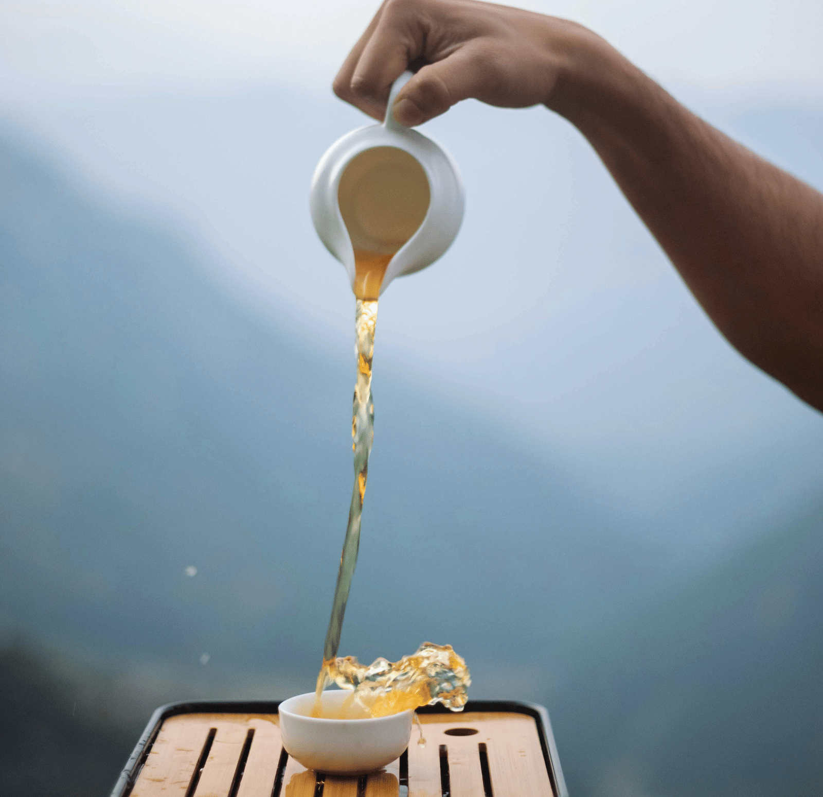 pexels-nepal-tea-collective-610999439-17286803