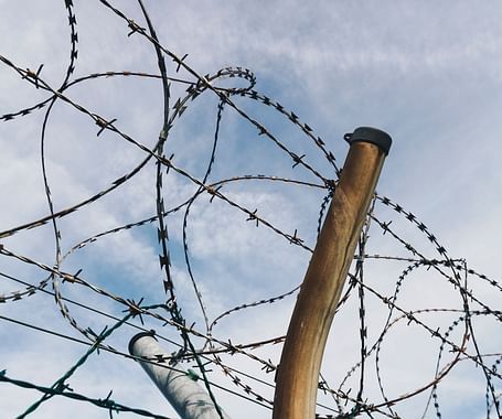 barbwire