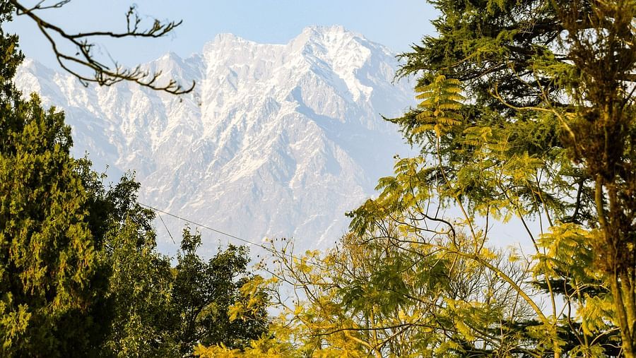 green trees white clouds @ Lamrin Norwood Green, Palampur