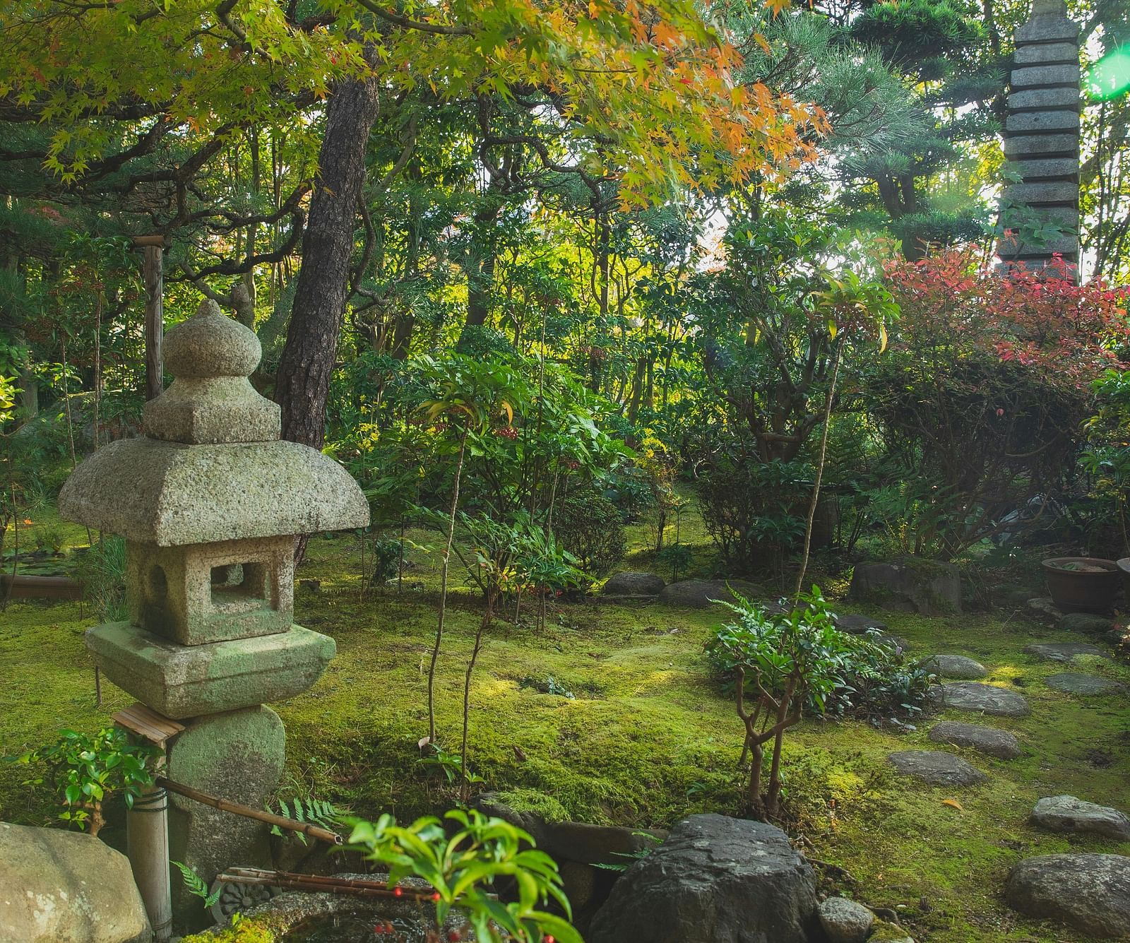 An image of a garden surrounded by rocks