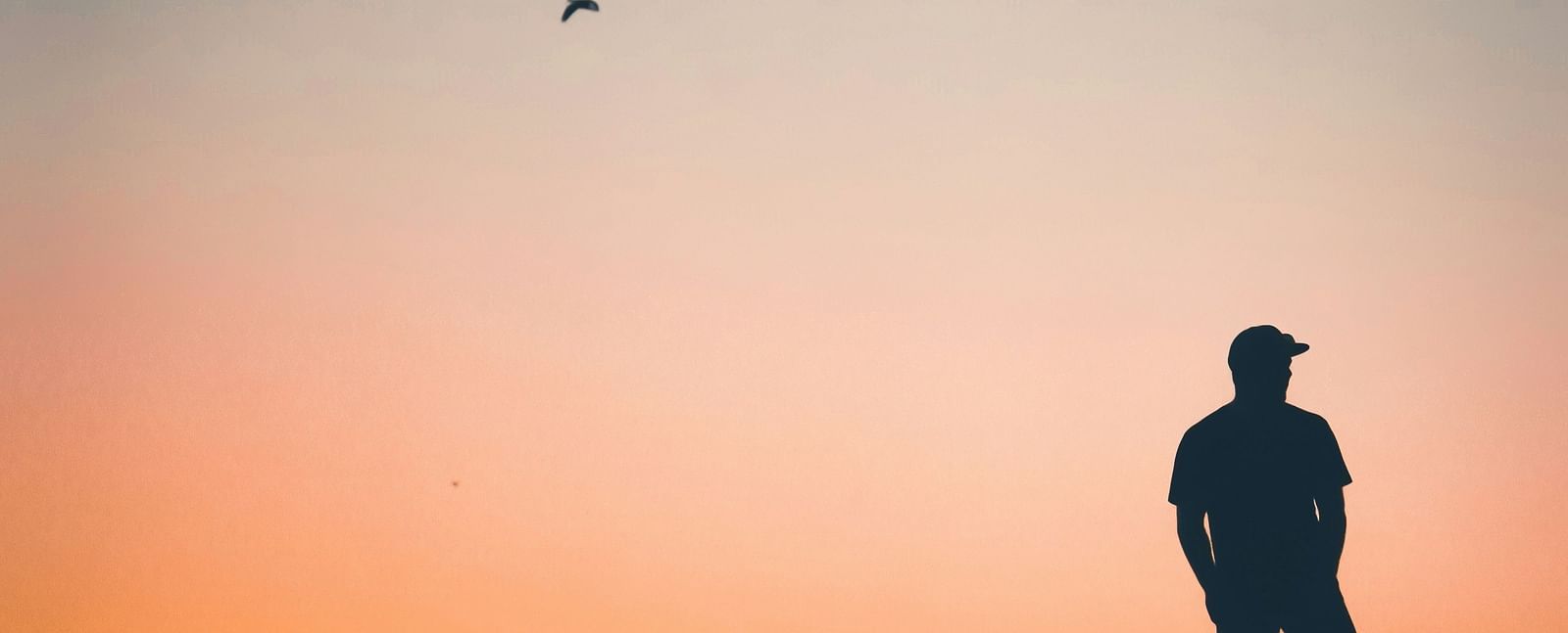 A person standing on a stone placed near a beach during a sunset - Brewery Gulch Inn & Spa