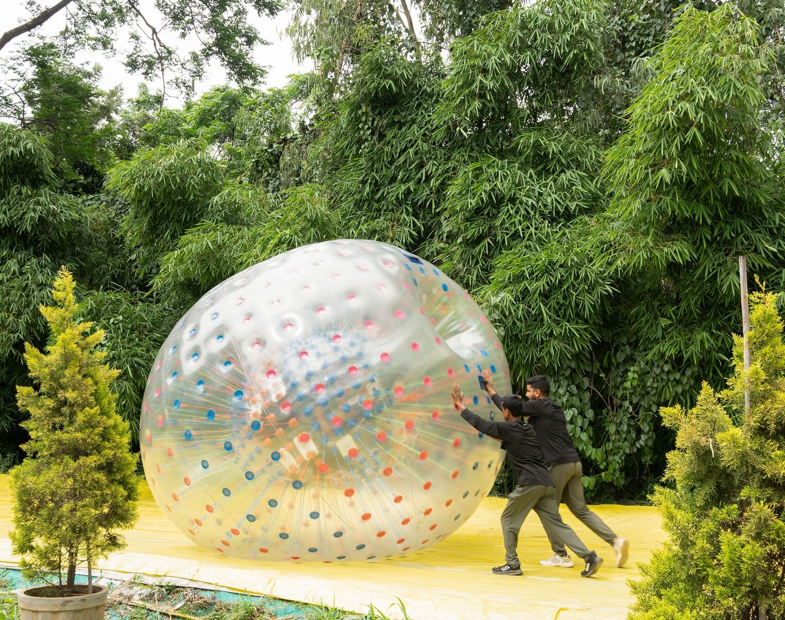 A large, reflective sphere, possibly a zorbing ball, sits in a grassy, outdoor area surrounded by trees | RD's Nature Retreat, Bangalore