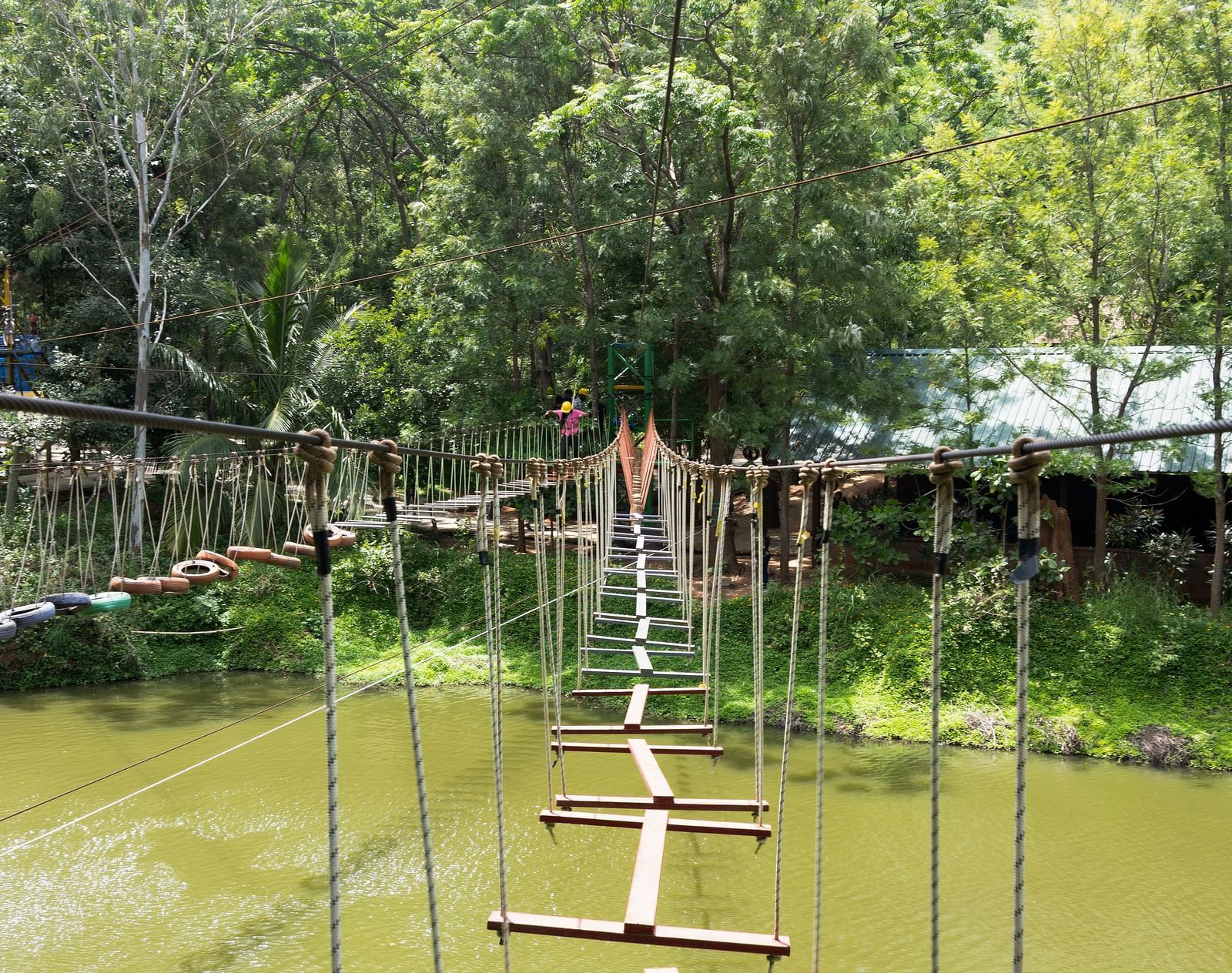 An obstacle course featuring suspended wooden elements and ropes is set over a body of water in a natural outdoor environment | RD's Nature Retreat, Bangalore