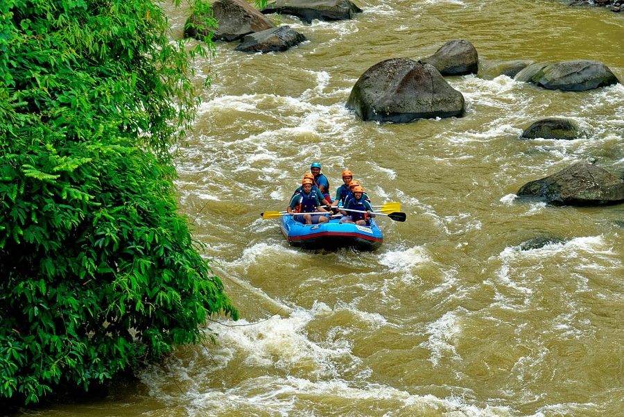 A group of people whitewater rafting on a turbulent river surrounded by lush green vegetation.