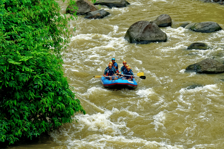 A group of people whitewater rafting on a turbulent river surrounded by lush green vegetation.