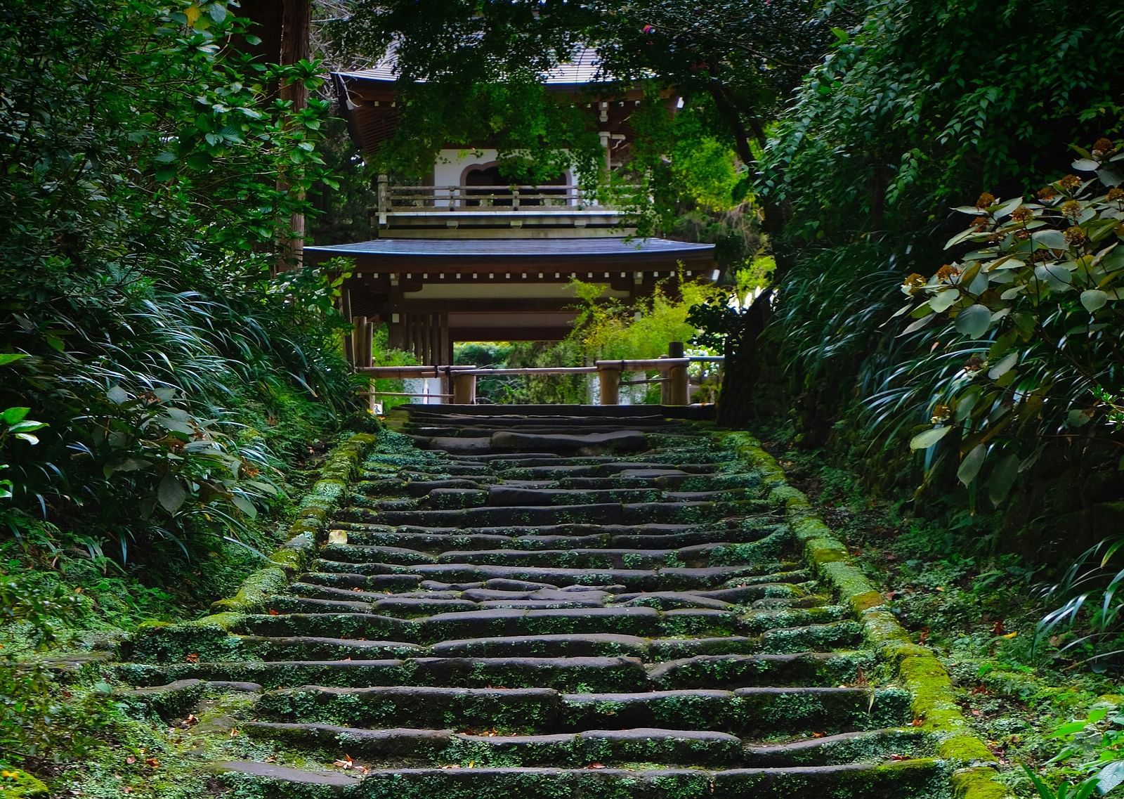 An overview of a temple atop many steps with greenery around.