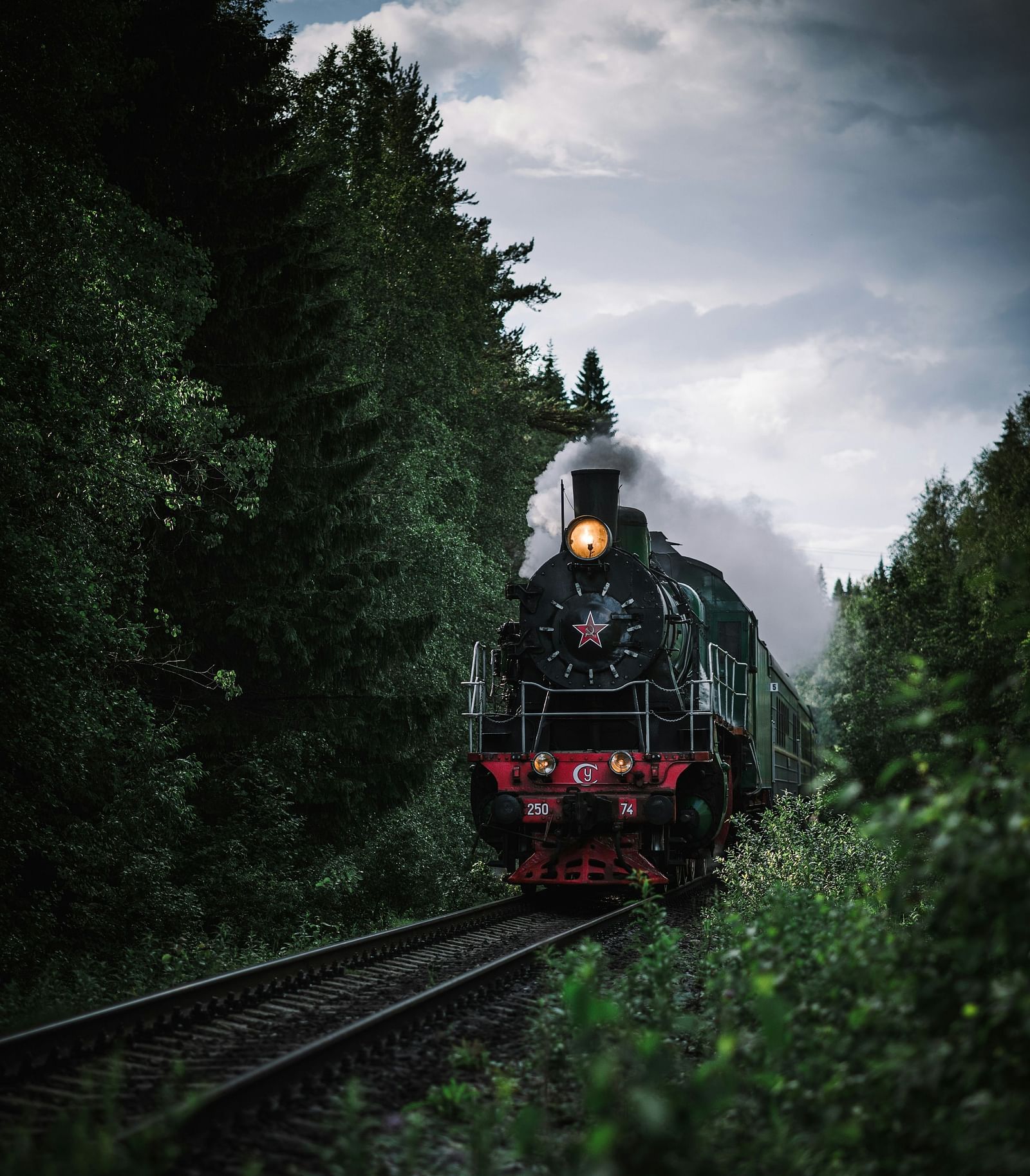 A vintage steam train passing through a forest, with trees lining both sides.