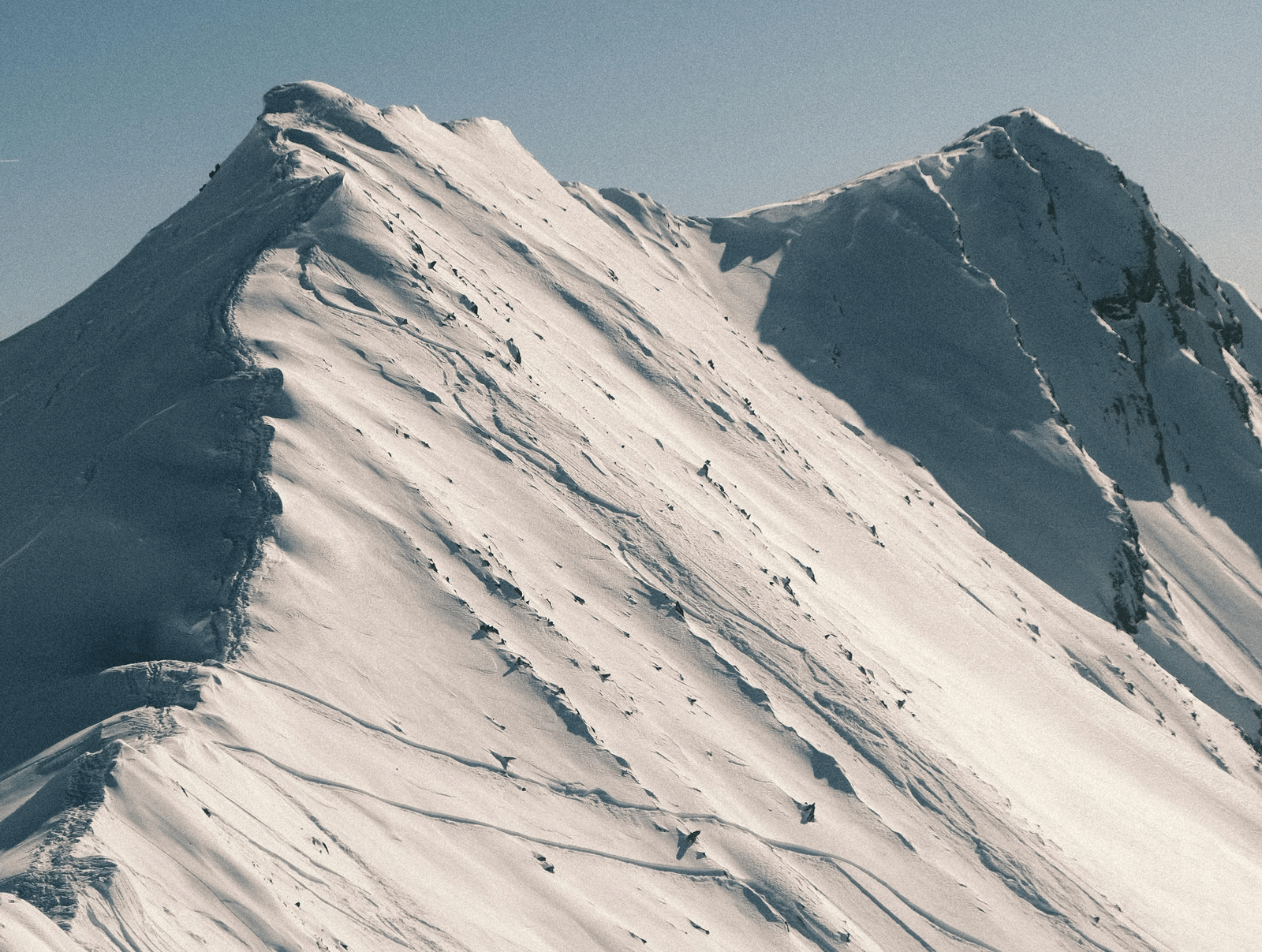 pexels-deimantas-viburys-1188635-21235821