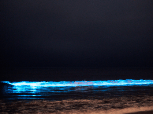 Blue waves of a beach reaching the shore with a dark sky in the background.