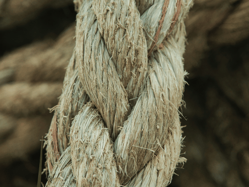 A coir rope made from coconut husks displaying the details of its braid