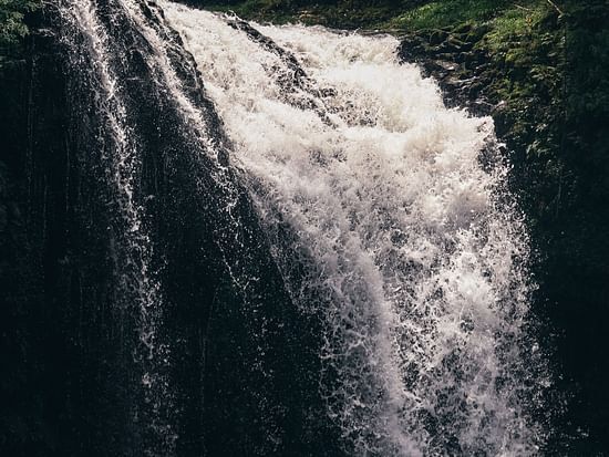 dear-pILWRIdmLuw-unsplash