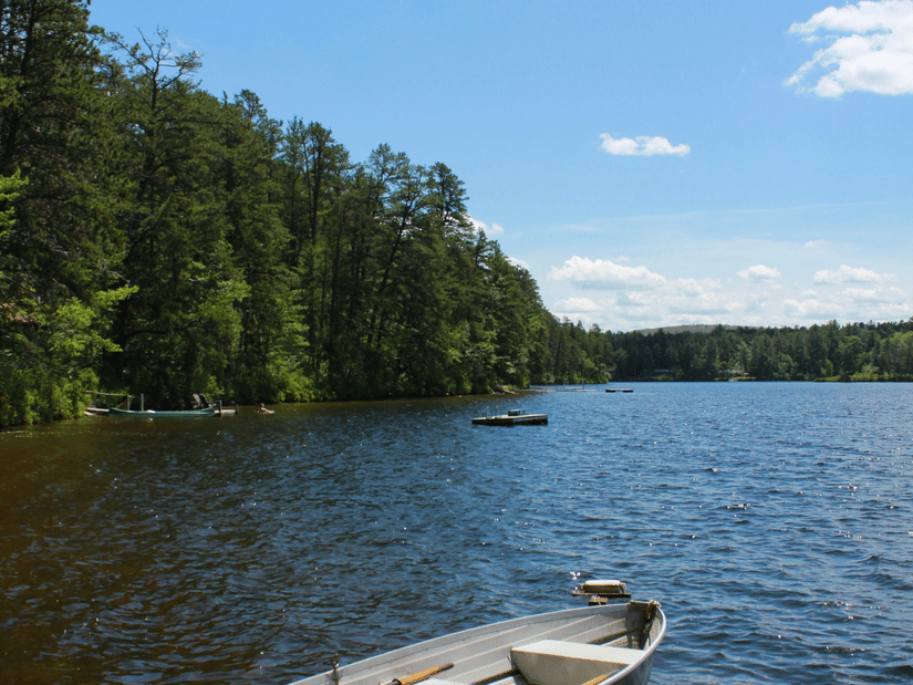 A small rowing boat floats on a calm lake near a shoreline with tall pine trees.