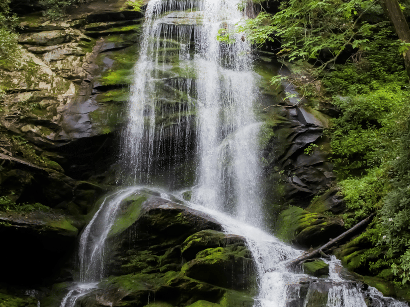 A view from a distance of a waterfall cascading to a rocky surface and the pool below. It is surrounded by greenery and moss covered rocks.